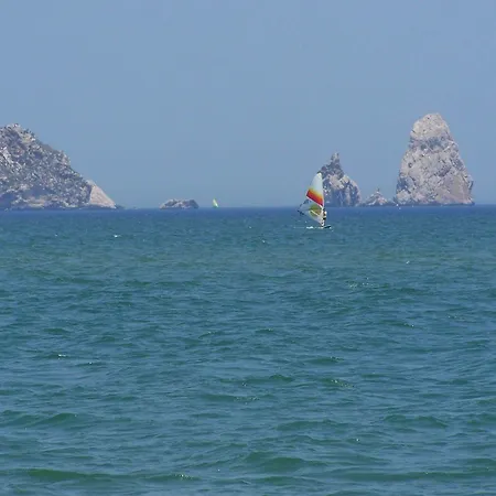 Picasso Torroella De Montgri